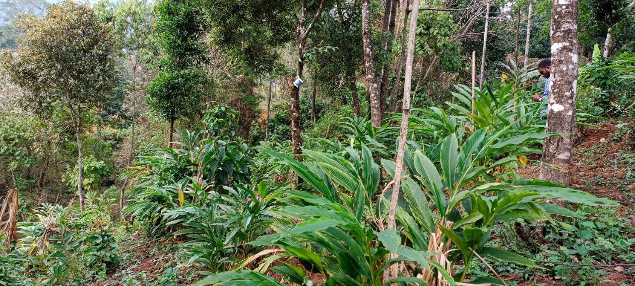 Munnar Tent Hills Resort Devikolam Экстерьер фото